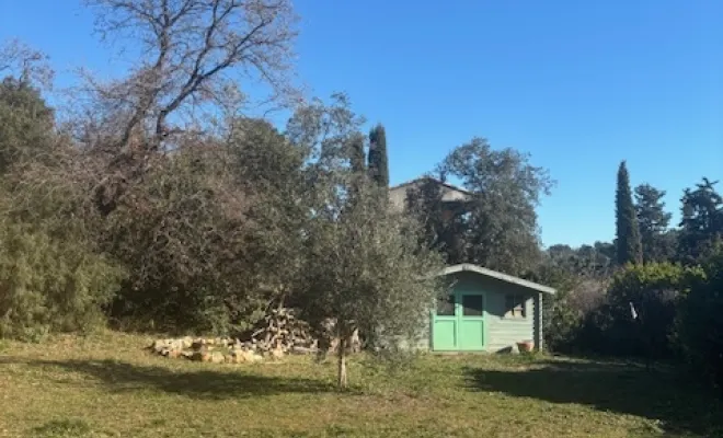 Elagage et abattage d'un pin d'alep , Golfe de Saint-Tropez, VPServices